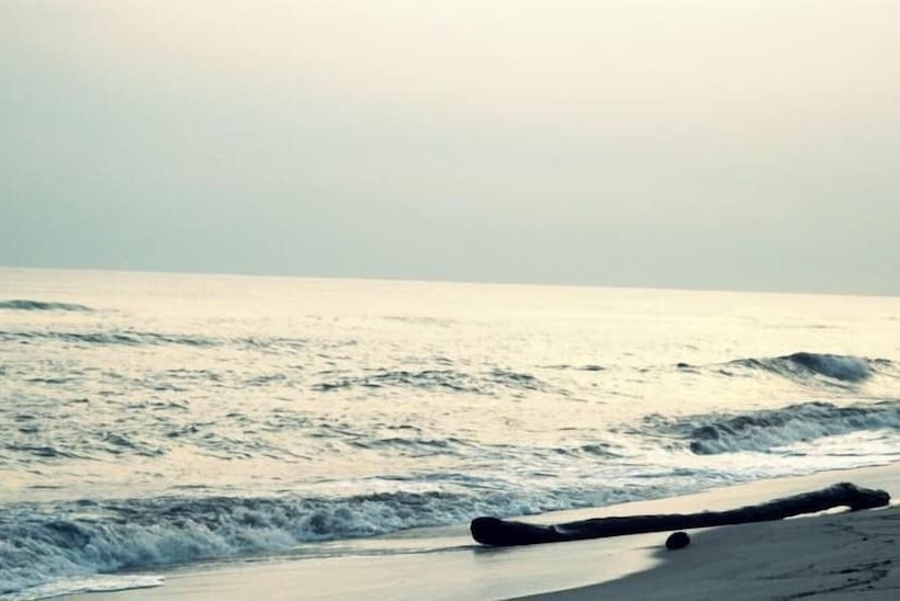 호텔 Tayrona Tented Lodge