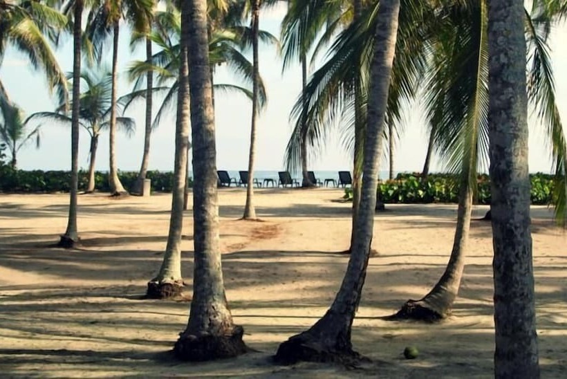 호텔 Tayrona Tented Lodge