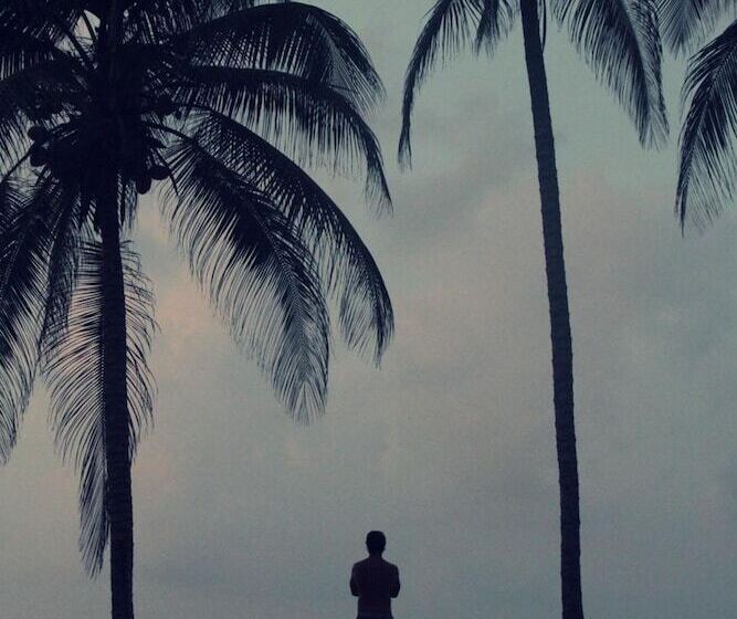 호텔 Tayrona Tented Lodge