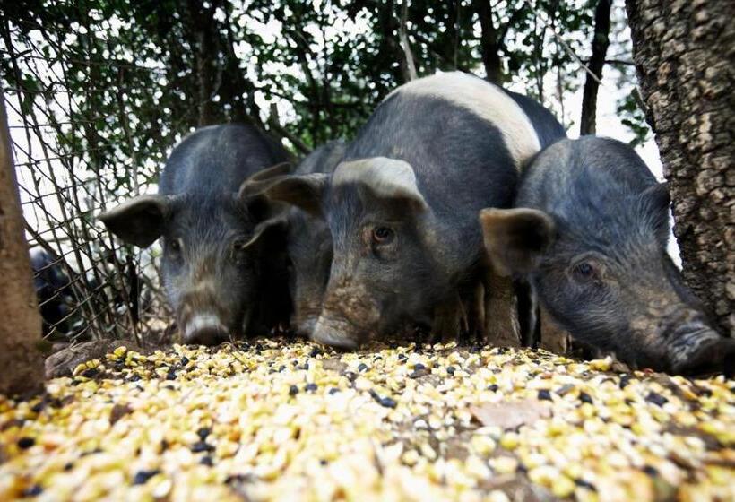 酒店 Tenuta del Fontino