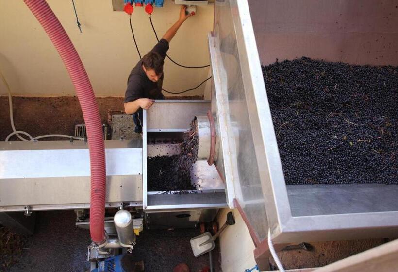 酒店 Tenuta del Fontino