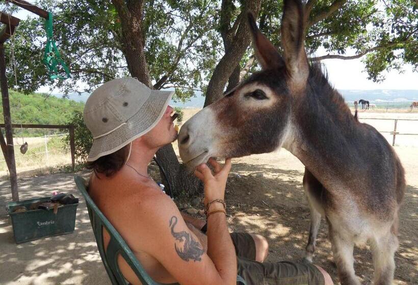酒店 Tenuta del Fontino