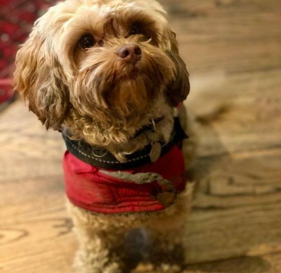 Отель The Wheatsheaf At Beetham