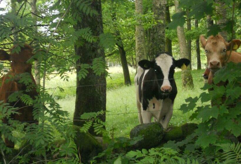 Joastorps Bed & Breakfast