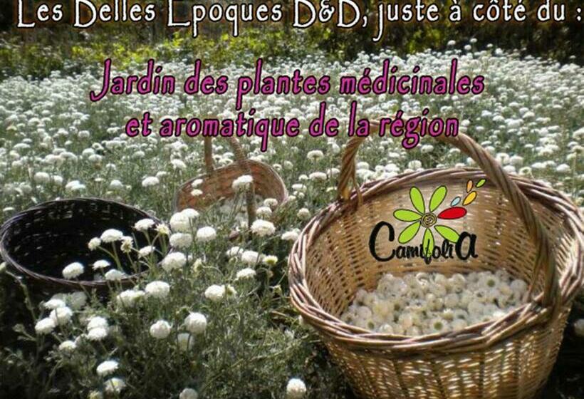 Les Belles époques B&b   Piscine   Terrasses   Brumisateurs   Proche Puy Du Fou