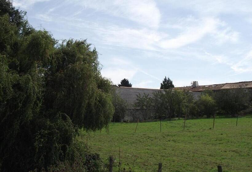 Les Belles époques B&b   Piscine   Terrasses   Brumisateurs   Proche Puy Du Fou