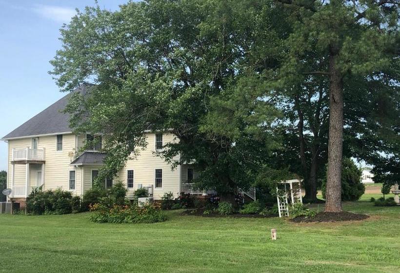 Ma Margarets House Bed And Breakfast