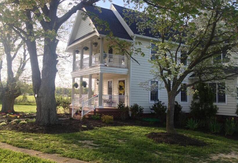 Ma Margarets House Bed And Breakfast