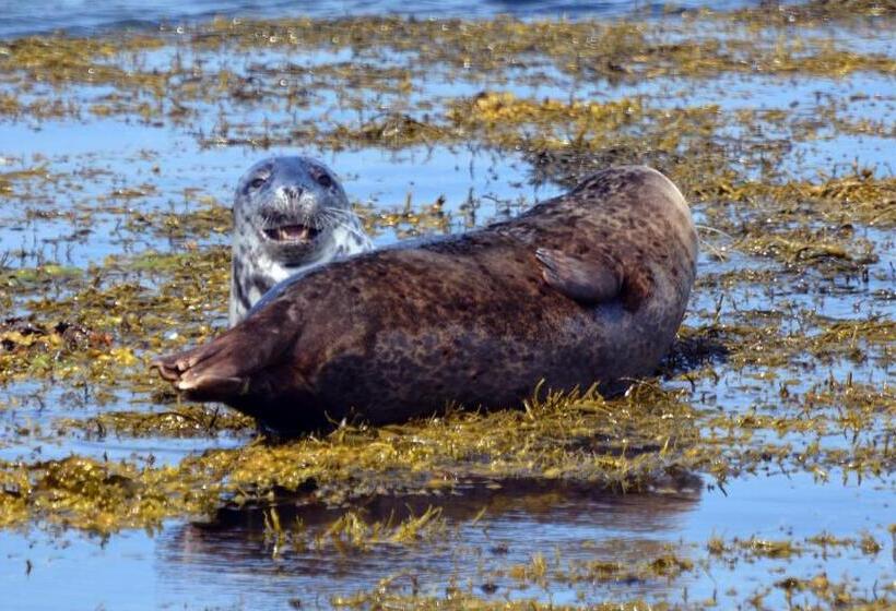 No 1 Broughton Bed & Breakfast