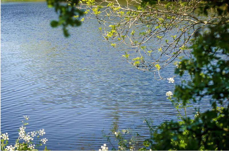 Nutgrove House Luxury B&b