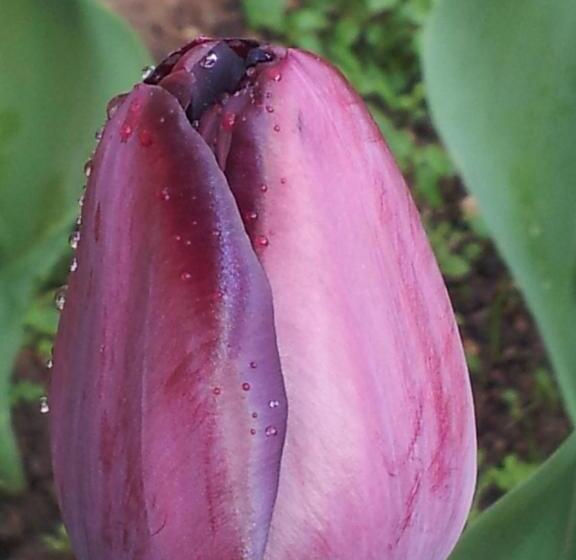 بنسيون Casa Do Escoivo