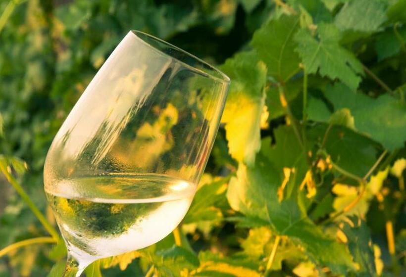 פנסיון Gästehaus Wildpert