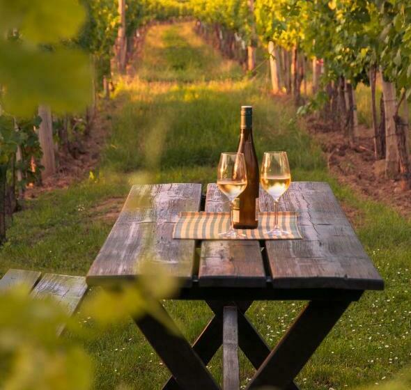 פנסיון Gästehaus Wildpert