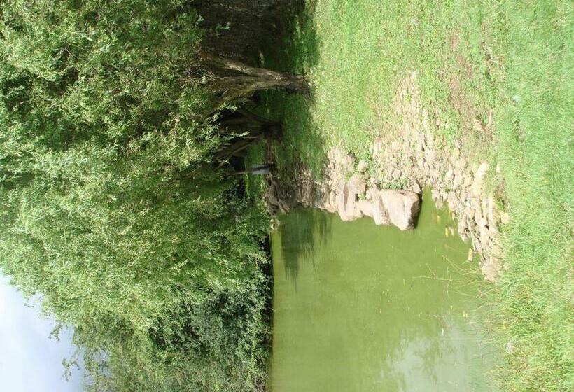 ペンション Manoir De La Baronnie