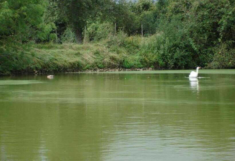 ペンション Manoir De La Baronnie