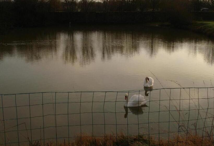 ペンション Manoir De La Baronnie