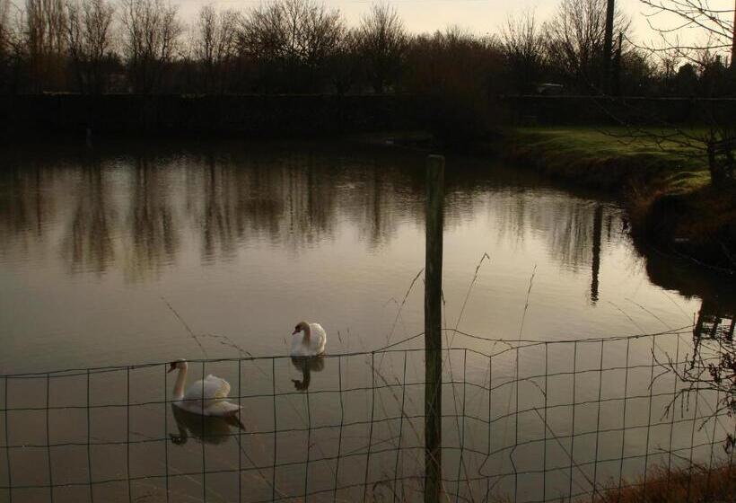 ペンション Manoir De La Baronnie