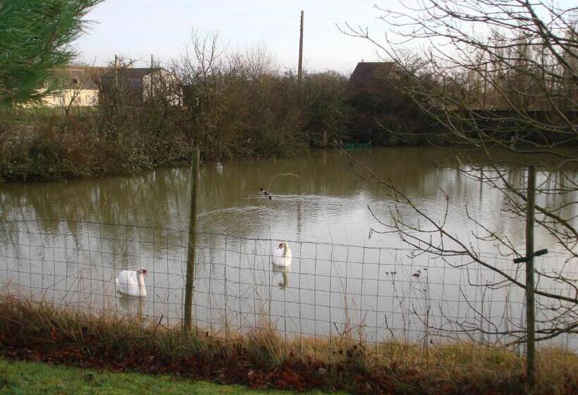 ペンション Manoir De La Baronnie