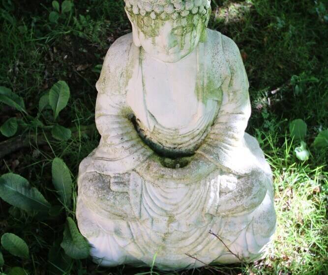 פנסיון Over The Rainbow Vegetarian Guesthouse