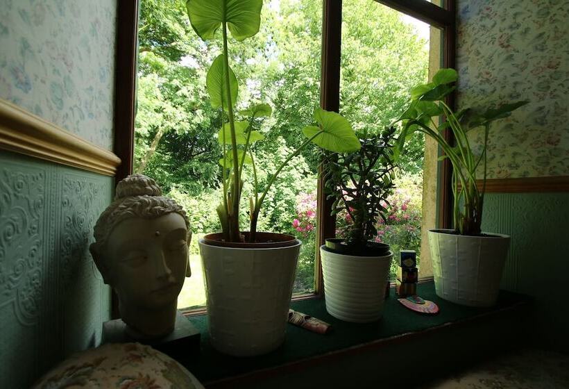 פנסיון Over The Rainbow Vegetarian Guesthouse