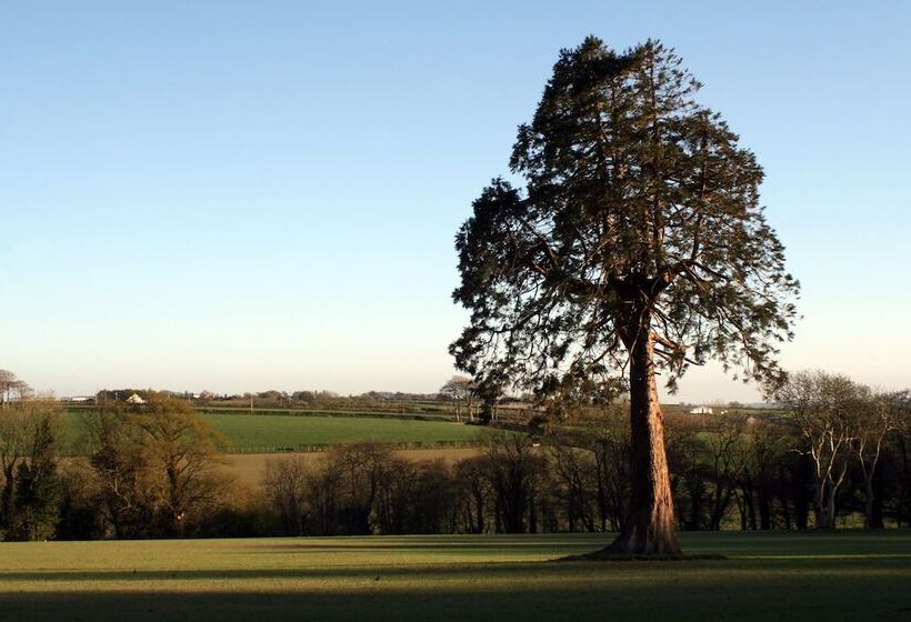 פנסיון Over The Rainbow Vegetarian Guesthouse