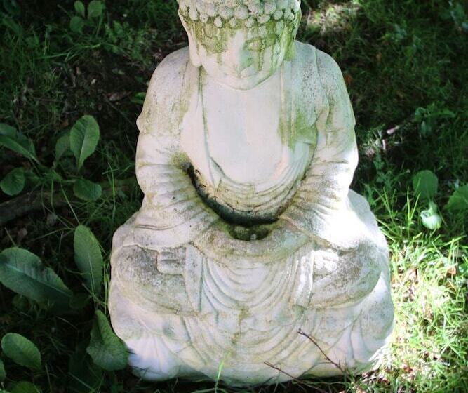 פנסיון Over The Rainbow Vegetarian Guesthouse