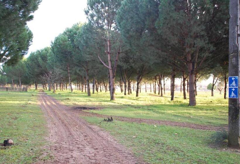 بنسيون Quinta A Reforma