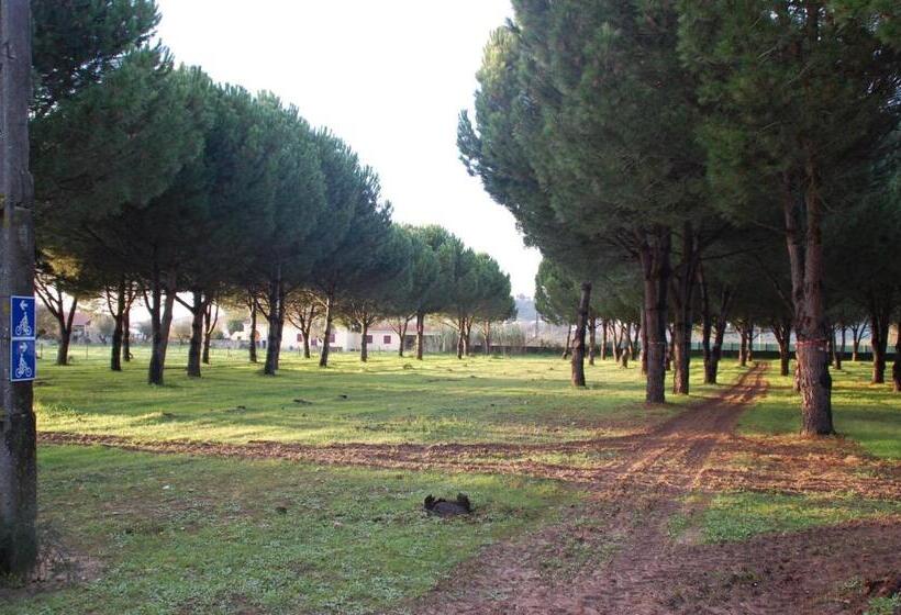 بنسيون Quinta A Reforma