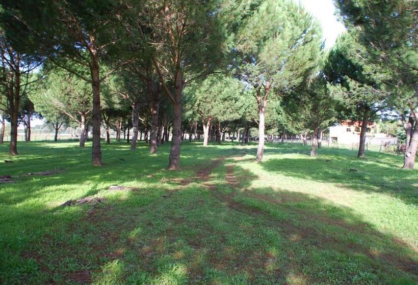 بنسيون Quinta A Reforma