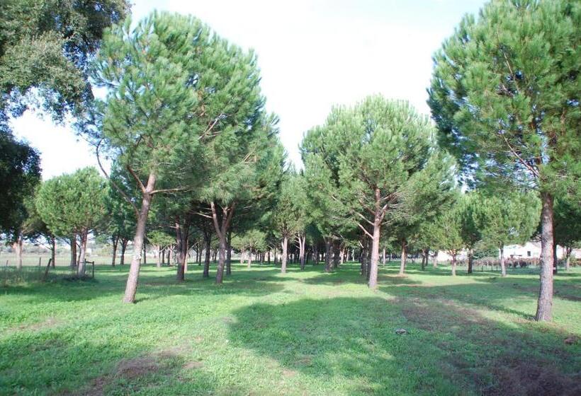 פנסיון Quinta A Reforma