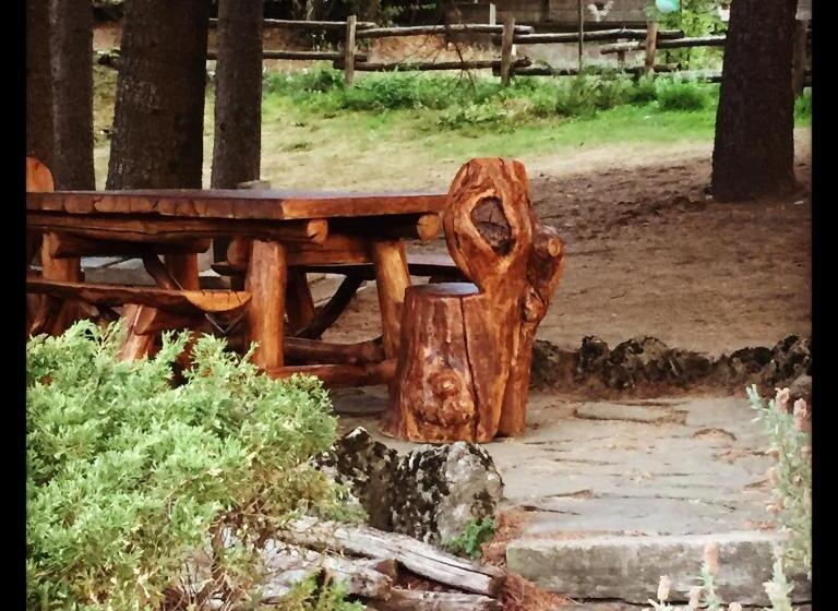 פנסיון Trout Lodge