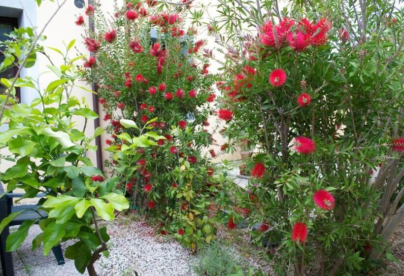 Residence Giuly Rosselmini