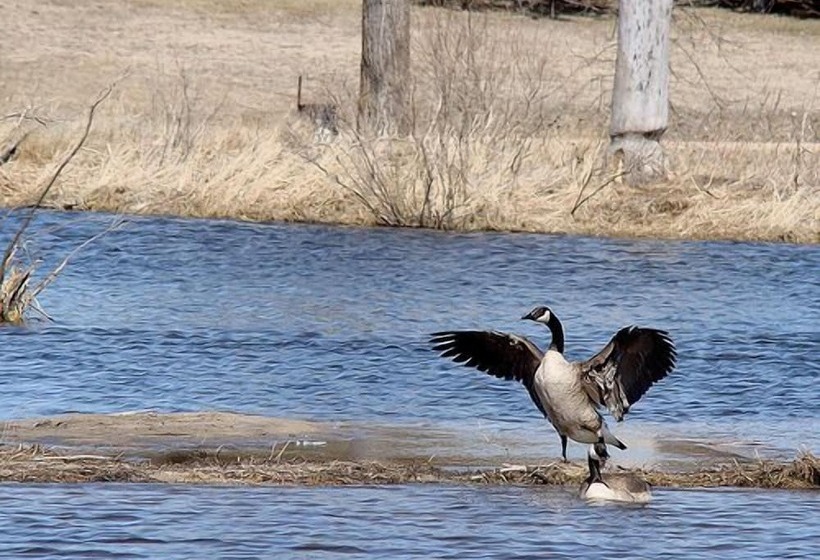 Sandhills Guest House Motel