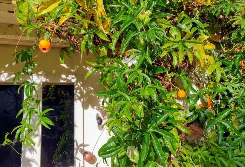 Tracebridge Cottage B&b