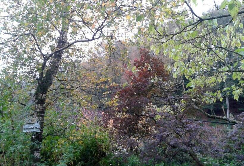 Tracebridge Cottage B&b