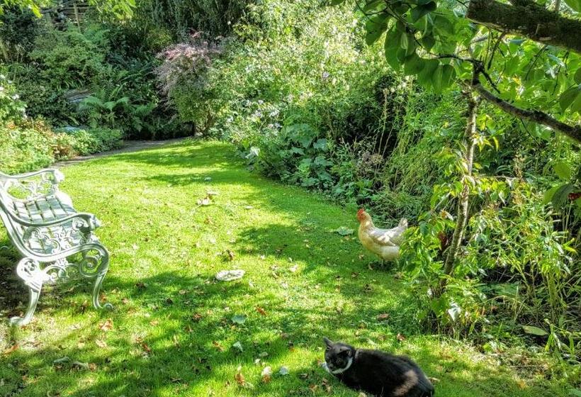 Tracebridge Cottage B&b