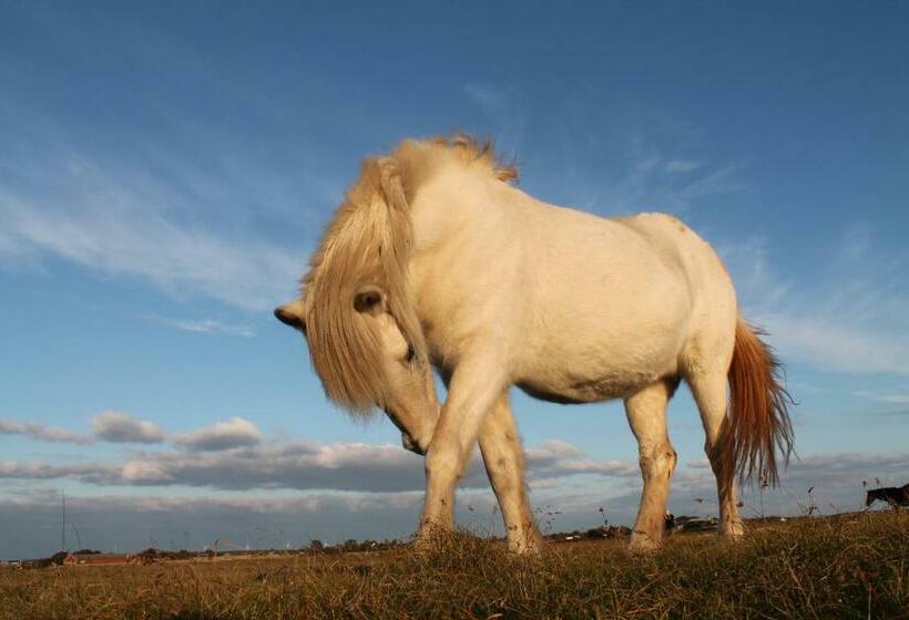 Tuvagård B&b Vindhästar