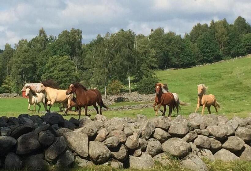 Tuvagård B&b Vindhästar