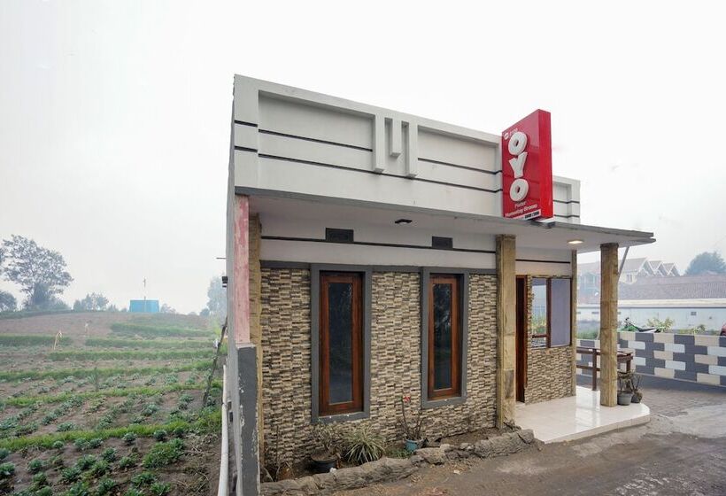 فندق صغير Pieter Homestay Bromo By Oyo Rooms