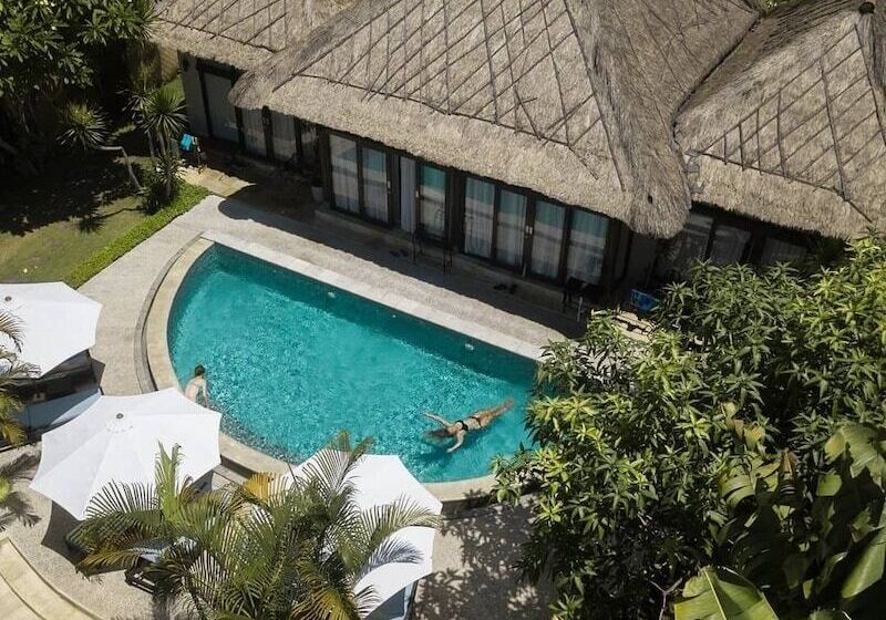 הוסטל Wave House   Surf Camp