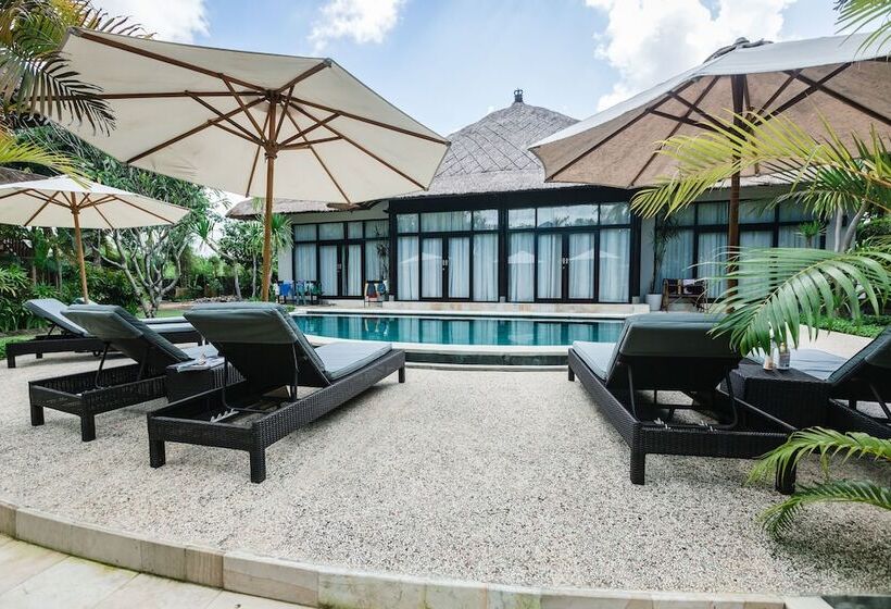 旅馆 Wave House   Surf Camp
