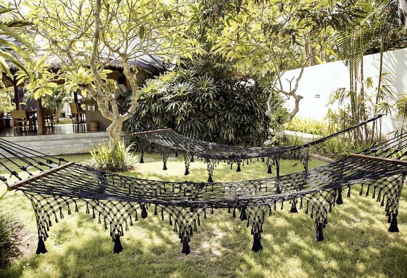 הוסטל Wave House   Surf Camp