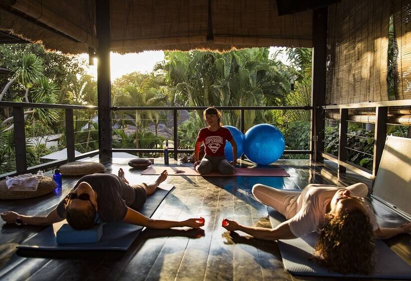 הוסטל Wave House   Surf Camp