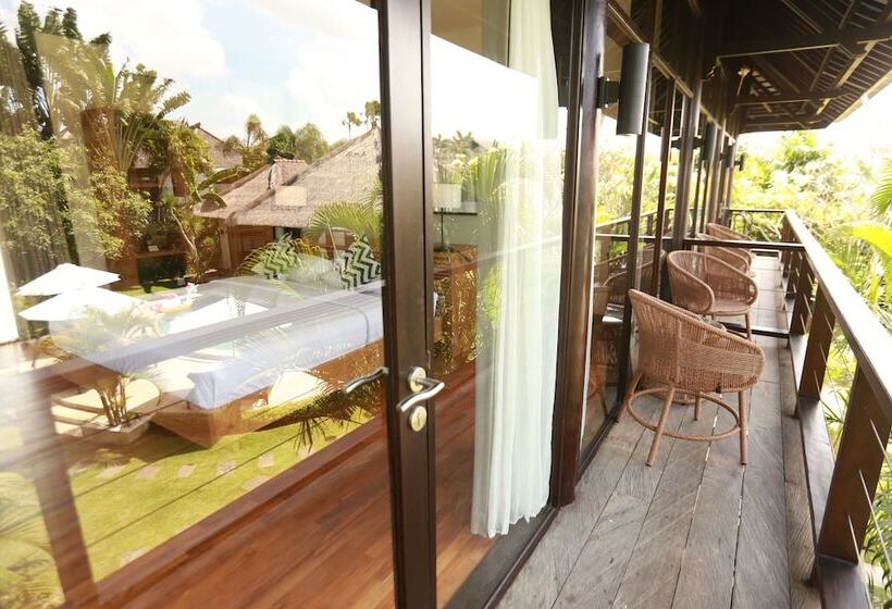 הוסטל Wave House   Surf Camp