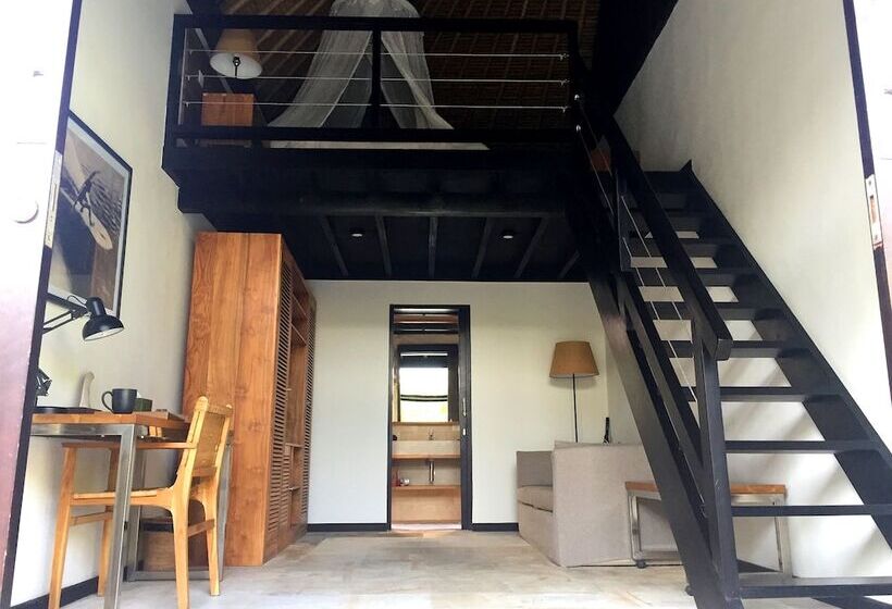 הוסטל Wave House   Surf Camp