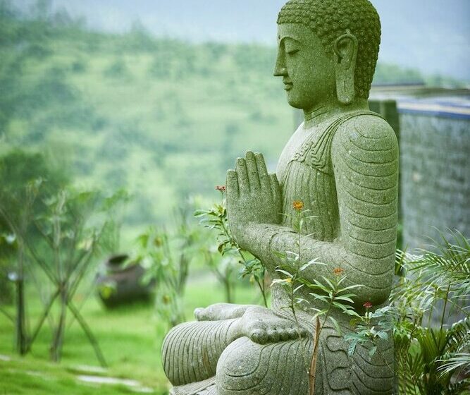 Amanzi   The Boutique Resort