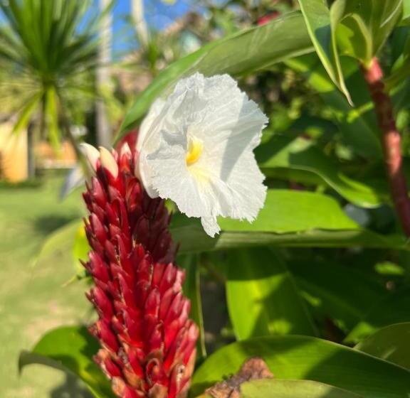 مبيت وإفطار Coco Verde Bali Resort