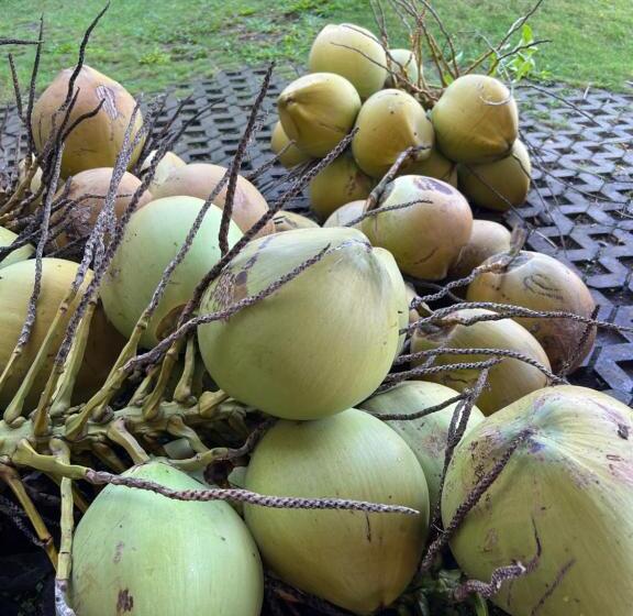 צימר Coco Verde Bali Resort