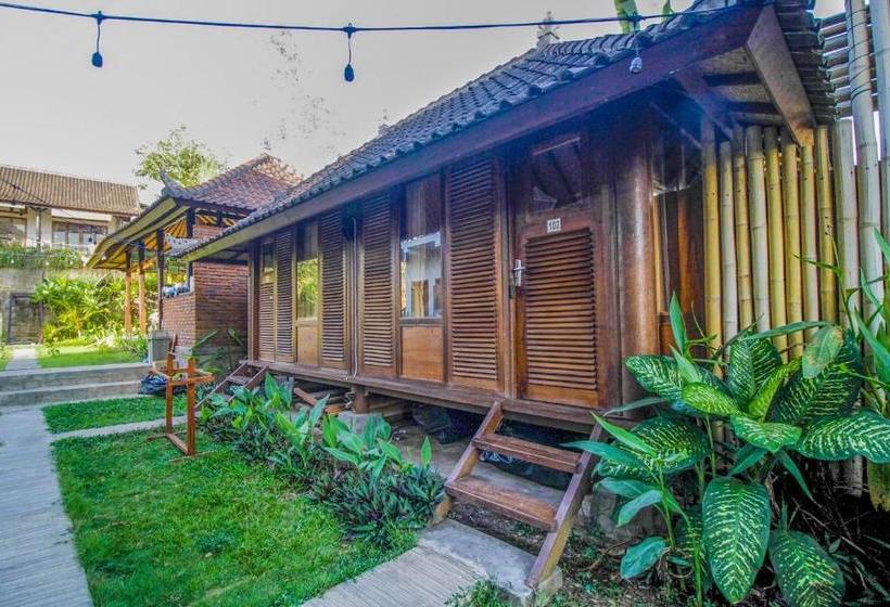 민박 The Anara Surfing Camp