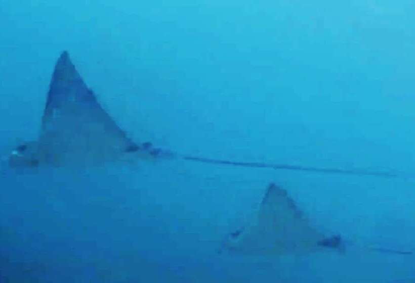 East Lombok Dive Hotel   Hostel